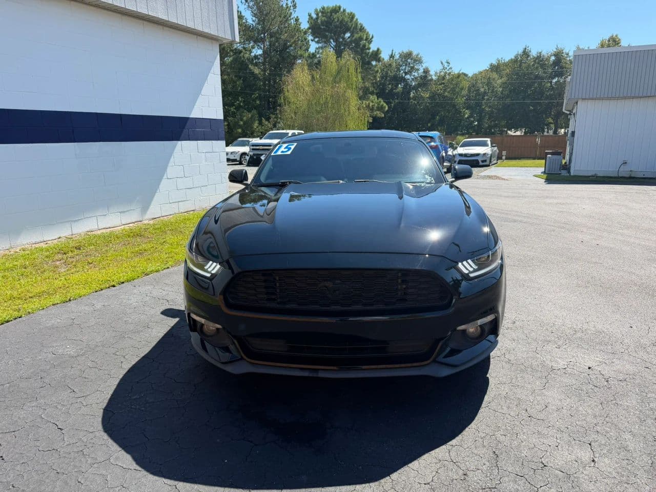 2015 Ford Mustang - Photo 3